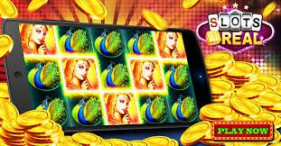 5050bet